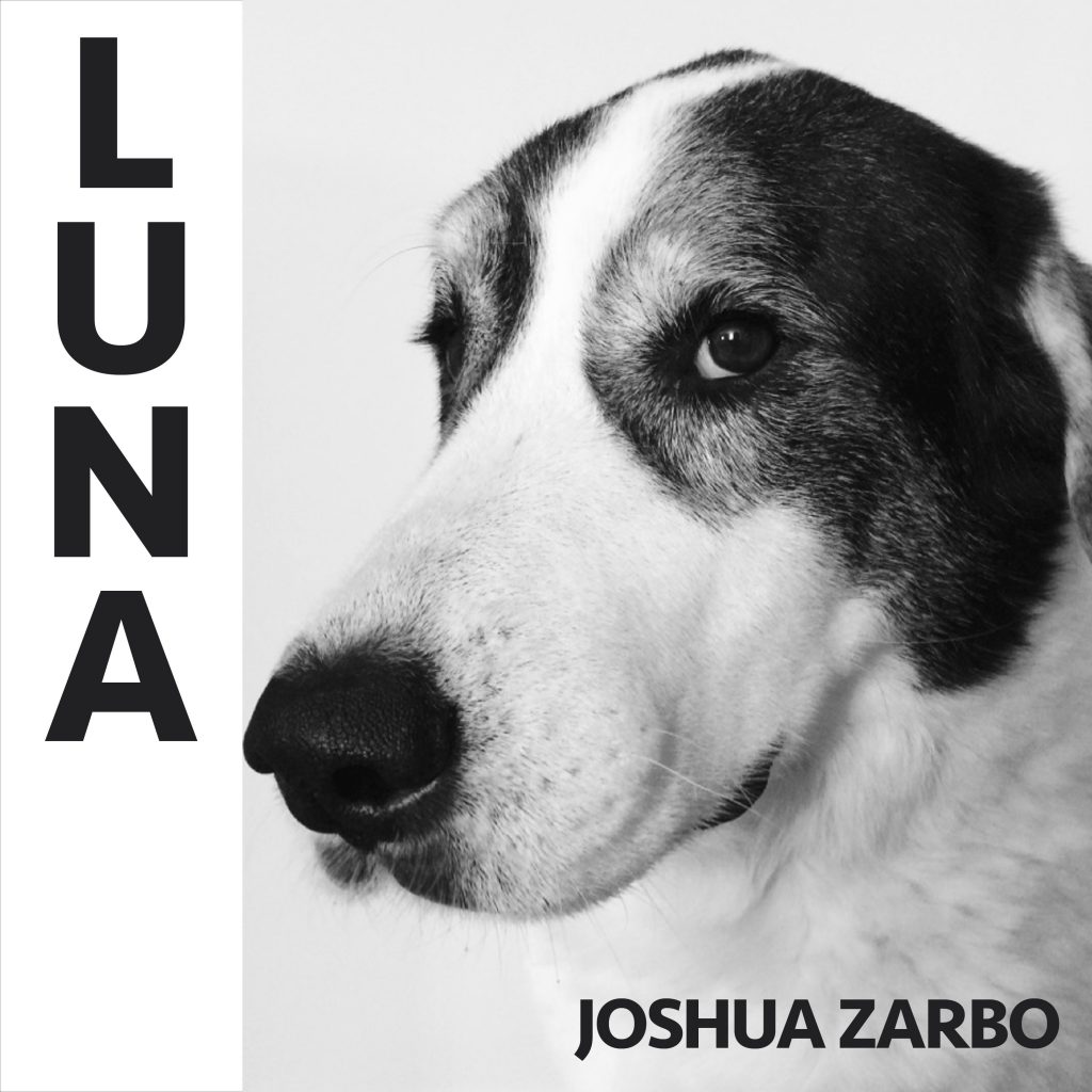 Cover of Joshua Zarbo's LUNA EP record with no color beams